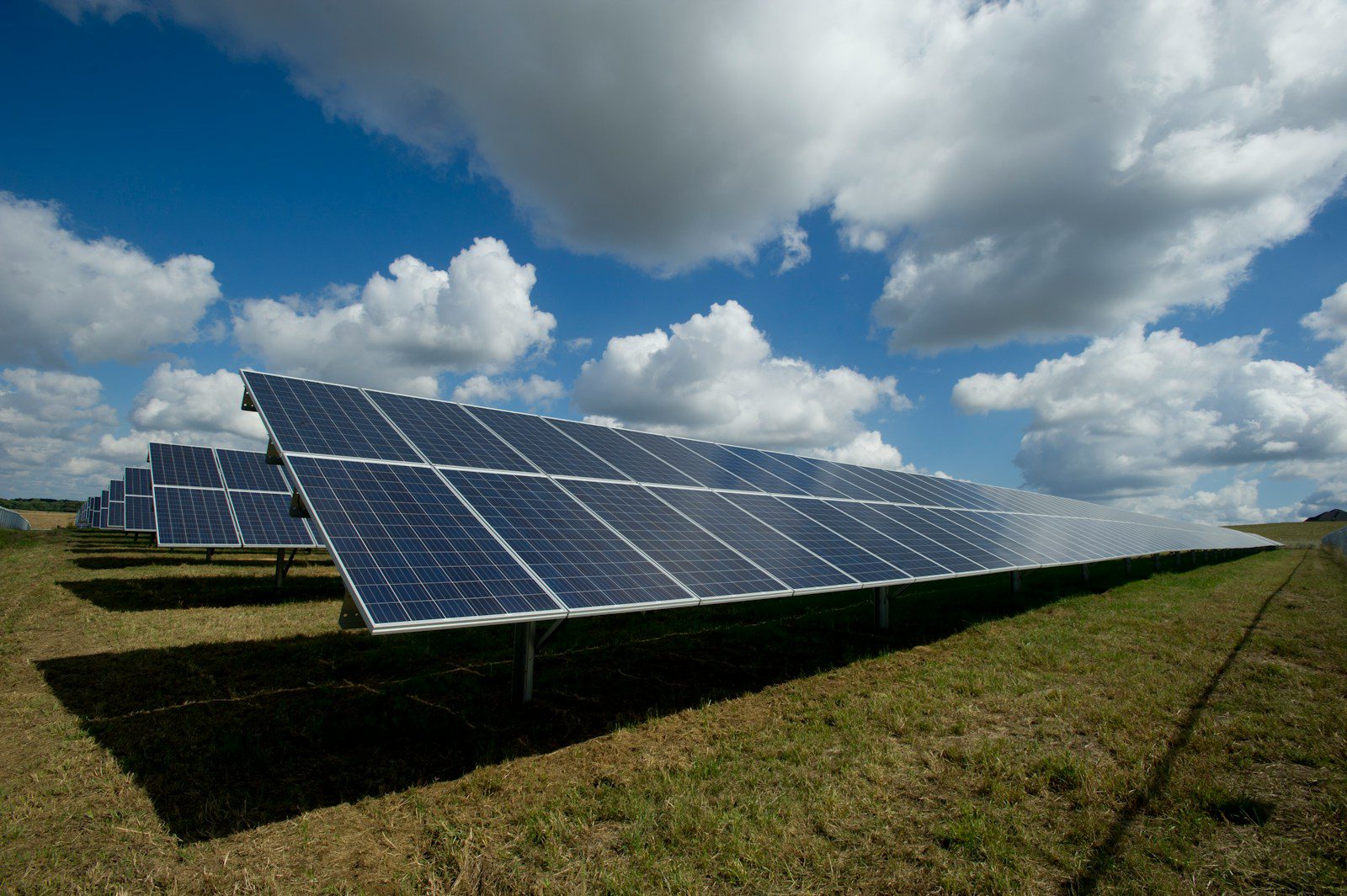 Solar & Storage Newsletter – November 2024