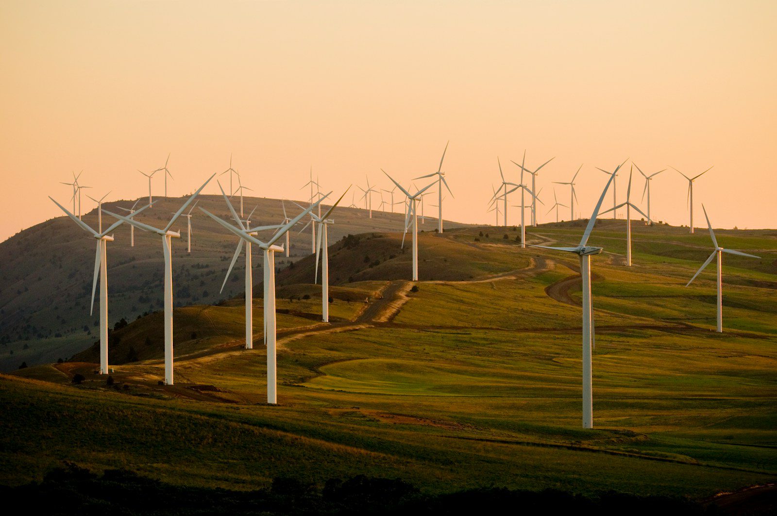 Scaling an Independent Power Producer: CEO Hiring Trends