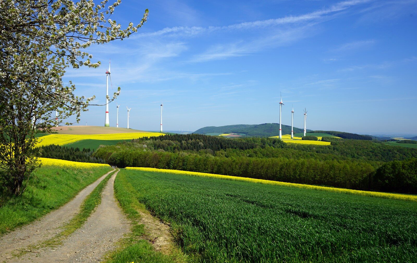 Infrastructure & Investment Newsletter – 2026 Volume 4